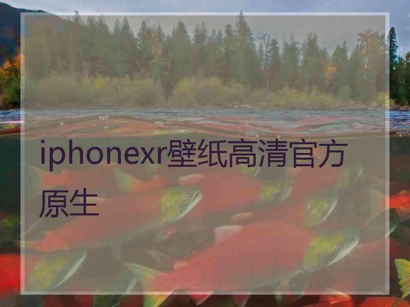 iphonexr壁纸高清官方原生