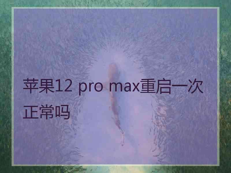 苹果12 pro max重启一次正常吗