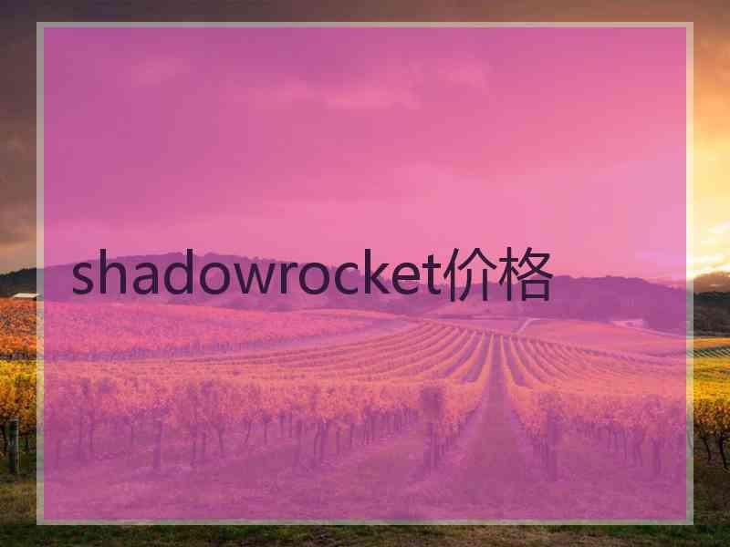 shadowrocket价格