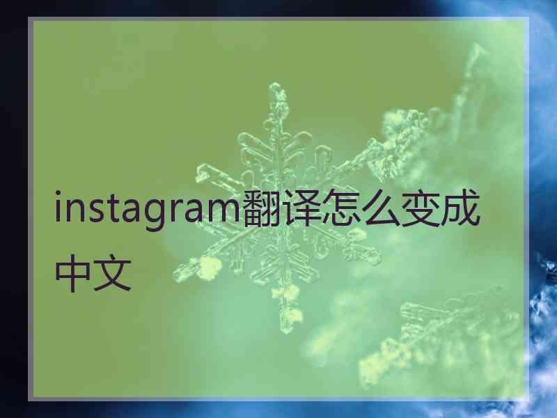 instagram翻译怎么变成中文