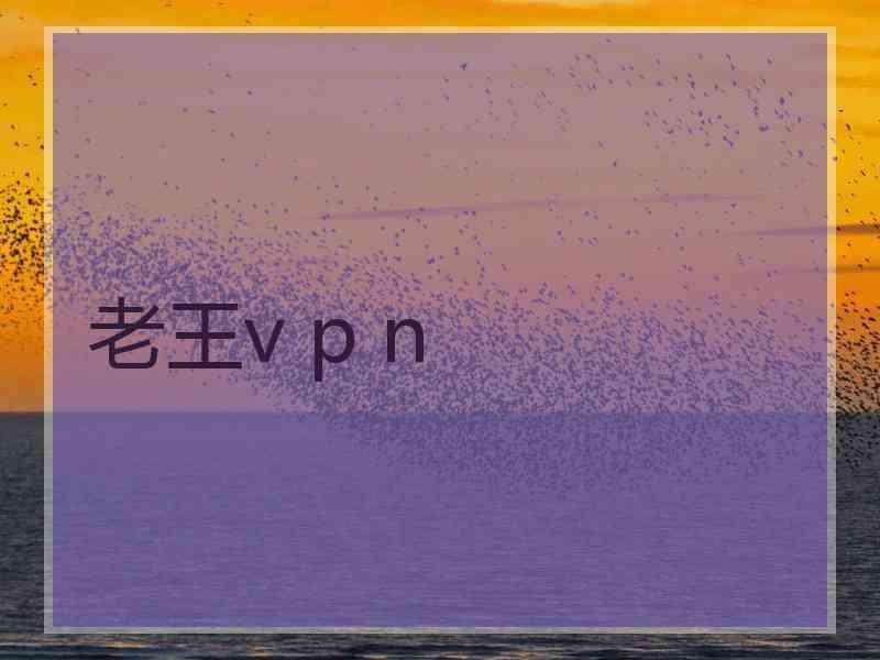 老王v p n