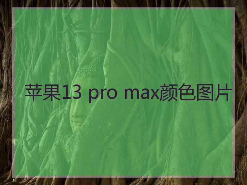 苹果13 pro max颜色图片