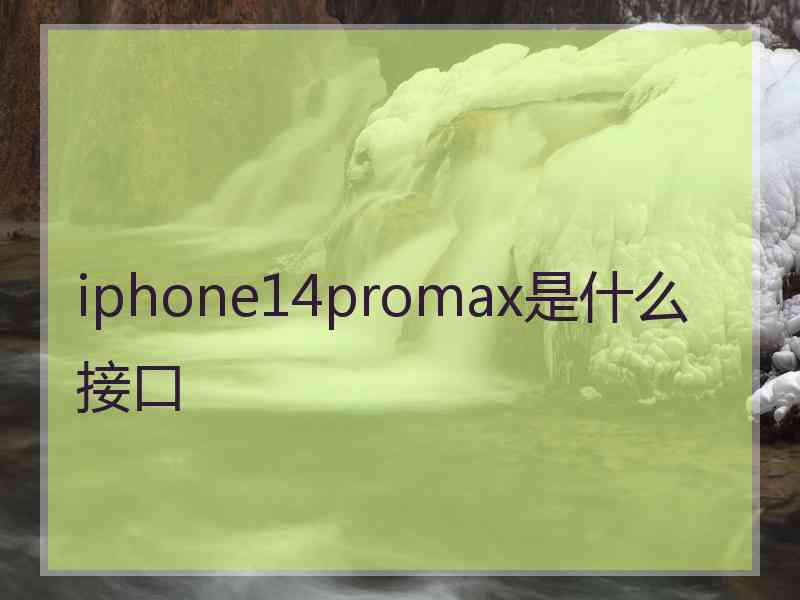 iphone14promax是什么接口