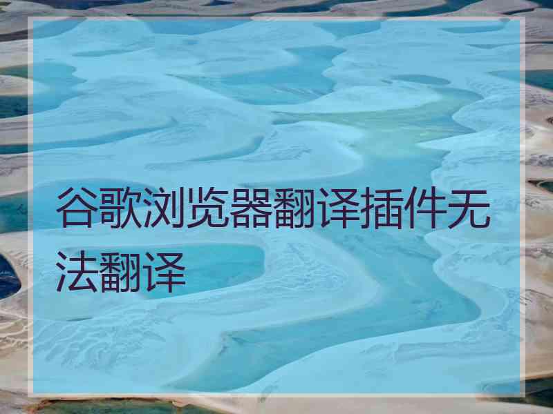 谷歌浏览器翻译插件无法翻译