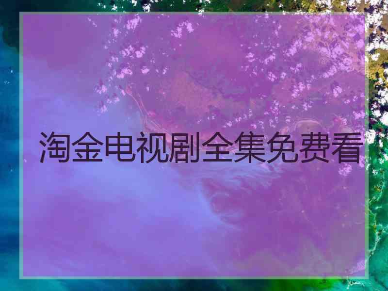 淘金电视剧全集免费看