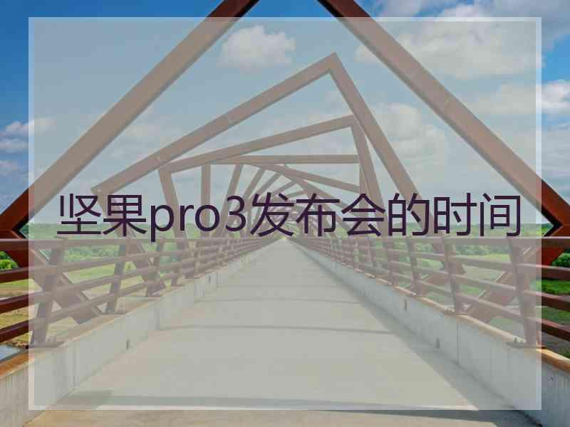 坚果pro3发布会的时间