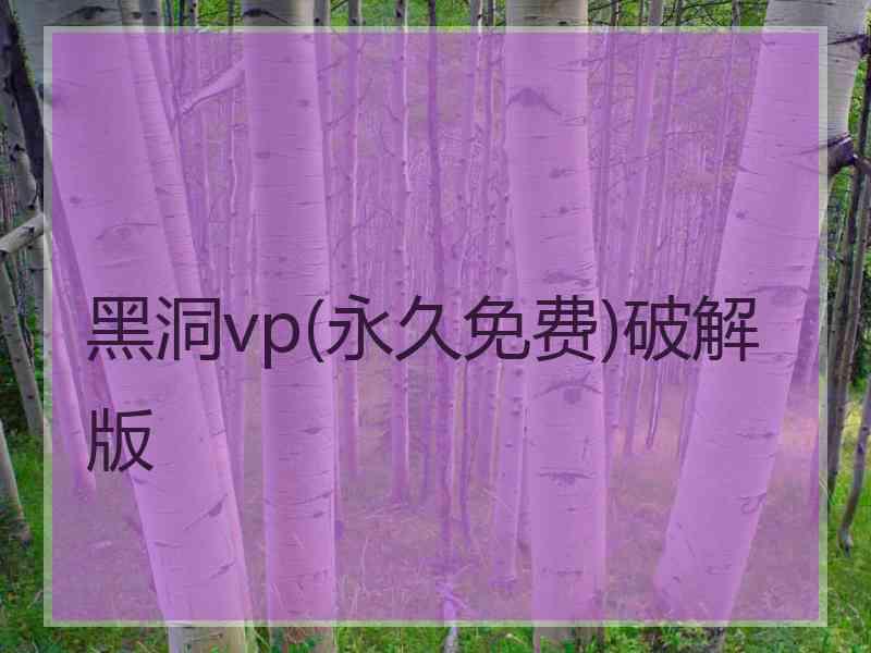 黑洞vp(永久免费)破解版