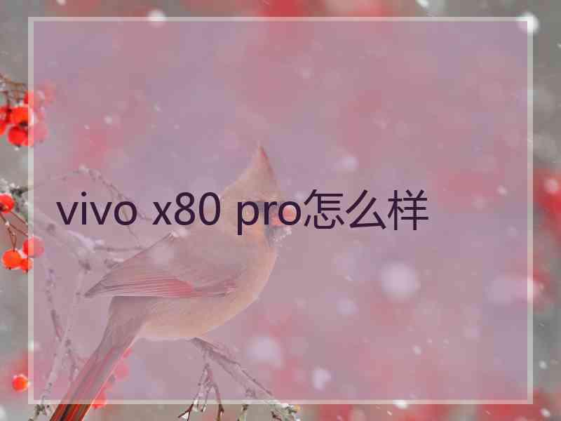 vivo x80 pro怎么样