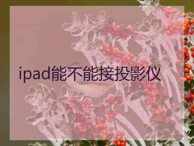 ipad能不能接投影仪