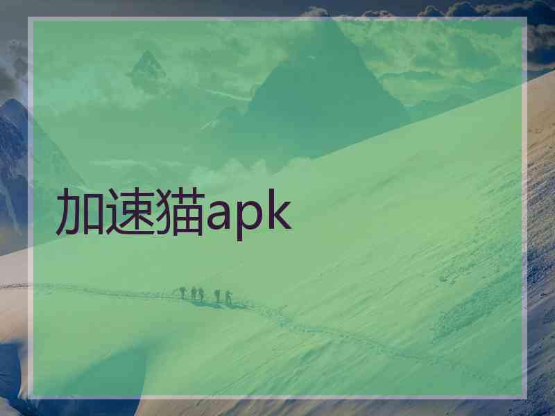 加速猫apk