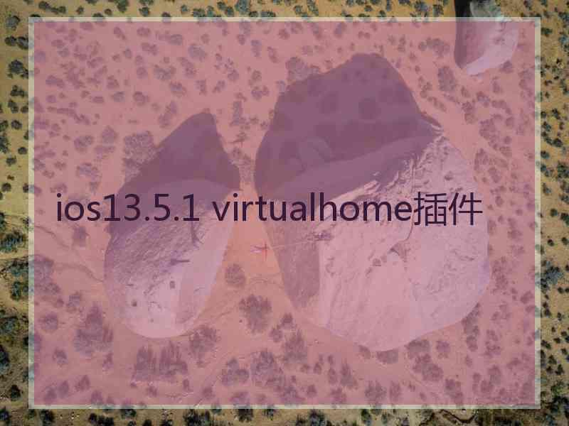 ios13.5.1 virtualhome插件