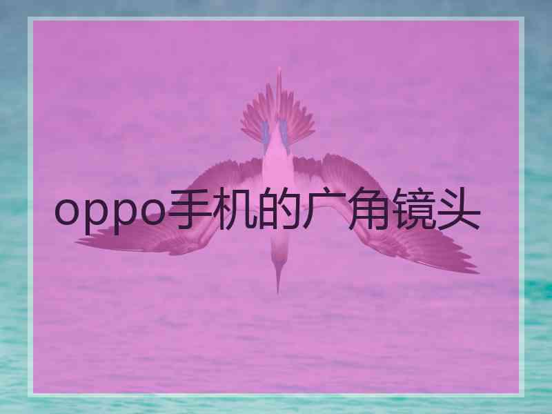 oppo手机的广角镜头