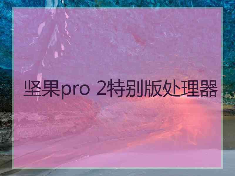 坚果pro 2特别版处理器