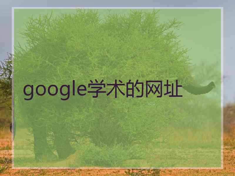 google学术的网址