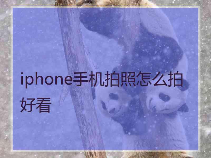 iphone手机拍照怎么拍好看