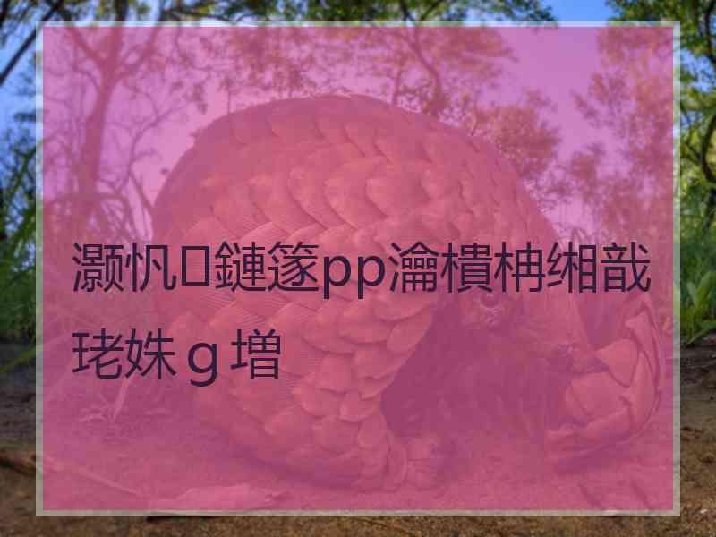 灏忛鏈篴pp瀹樻柟缃戠珯姝ｇ増