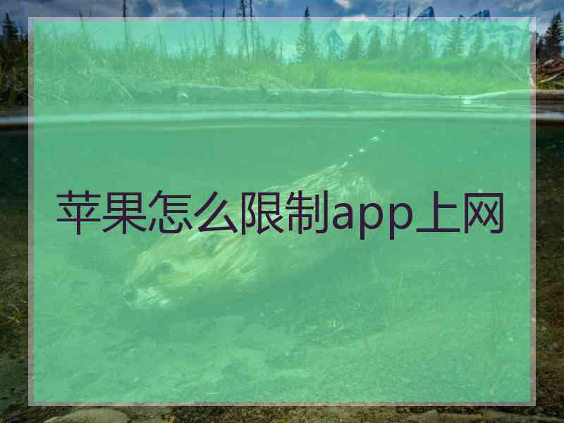 苹果怎么限制app上网