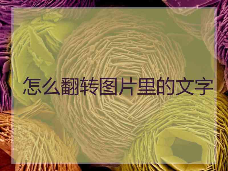 怎么翻转图片里的文字