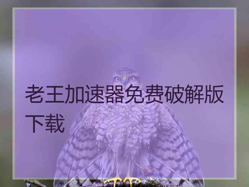 老王加速器免费破解版下载