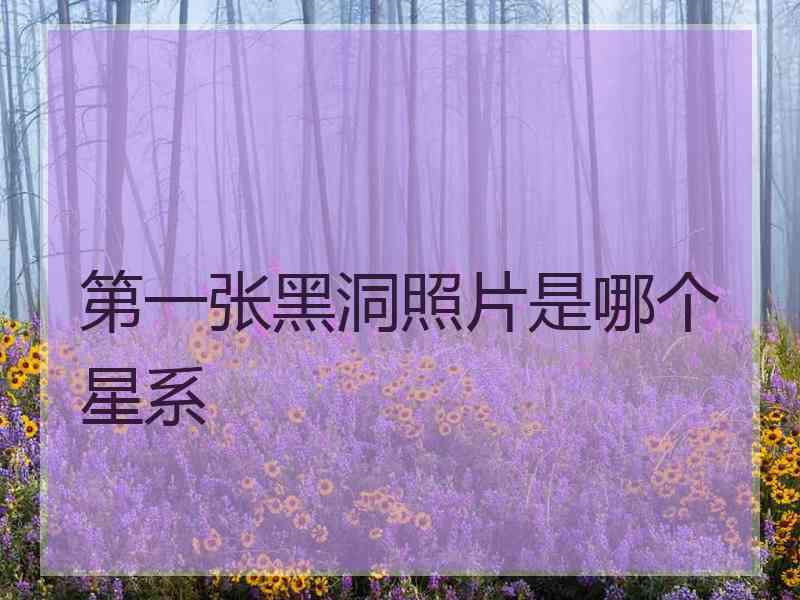 第一张黑洞照片是哪个星系