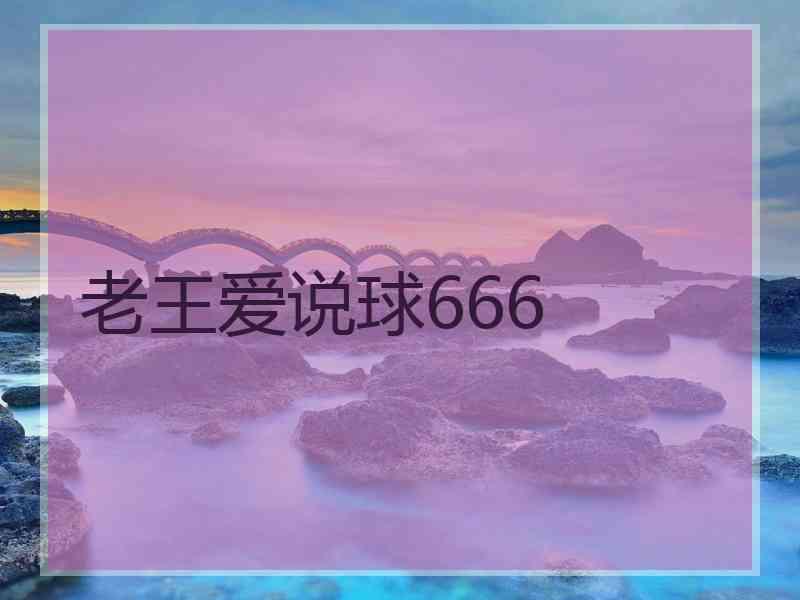 老王爱说球666