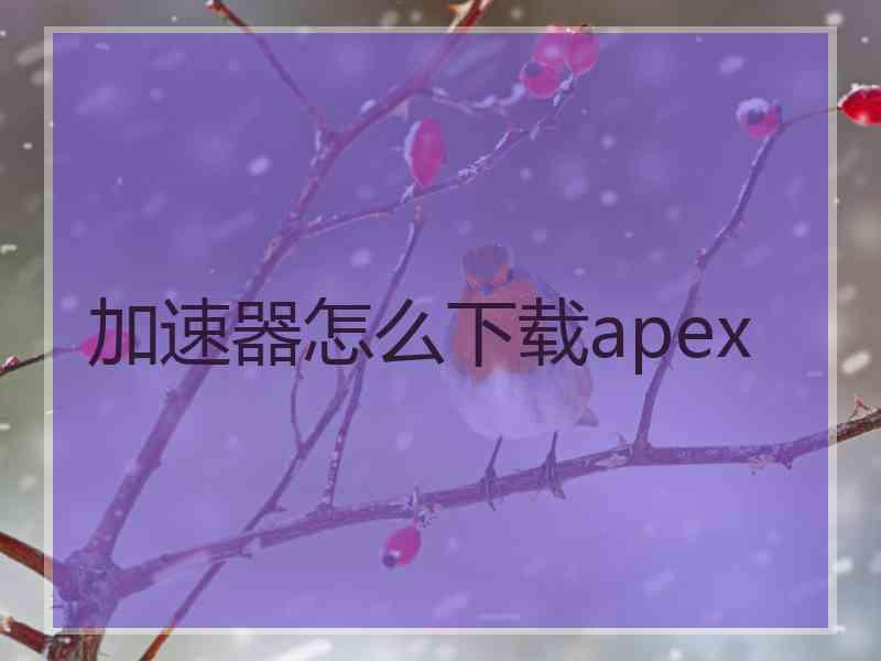 加速器怎么下载apex