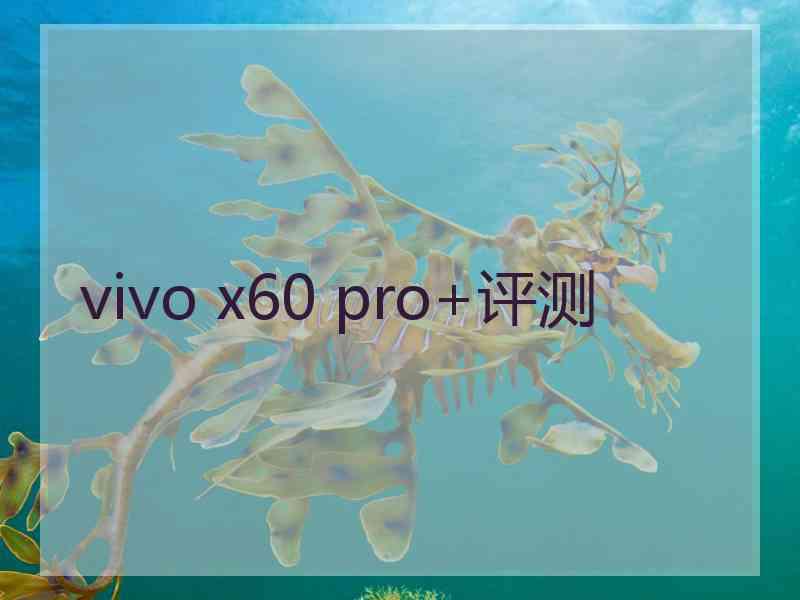 vivo x60 pro+评测