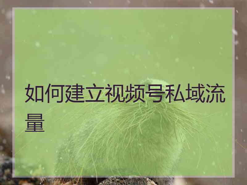 如何建立视频号私域流量