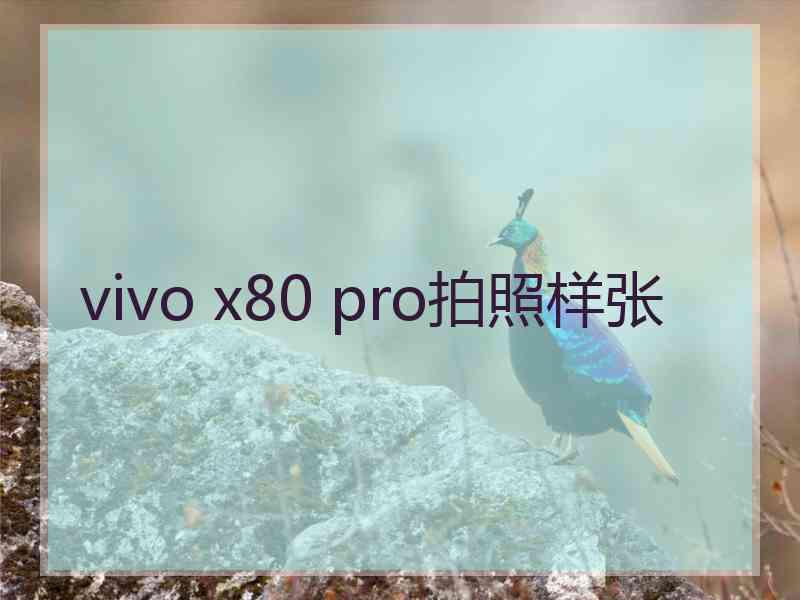 vivo x80 pro拍照样张