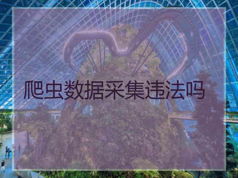 爬虫数据采集违法吗