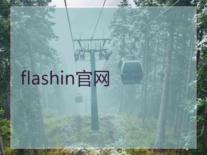 flashin官网