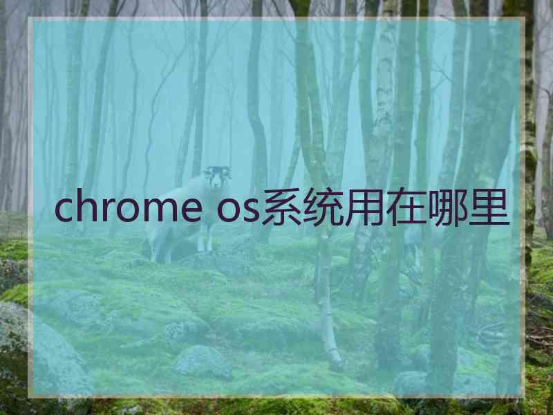 chrome os系统用在哪里