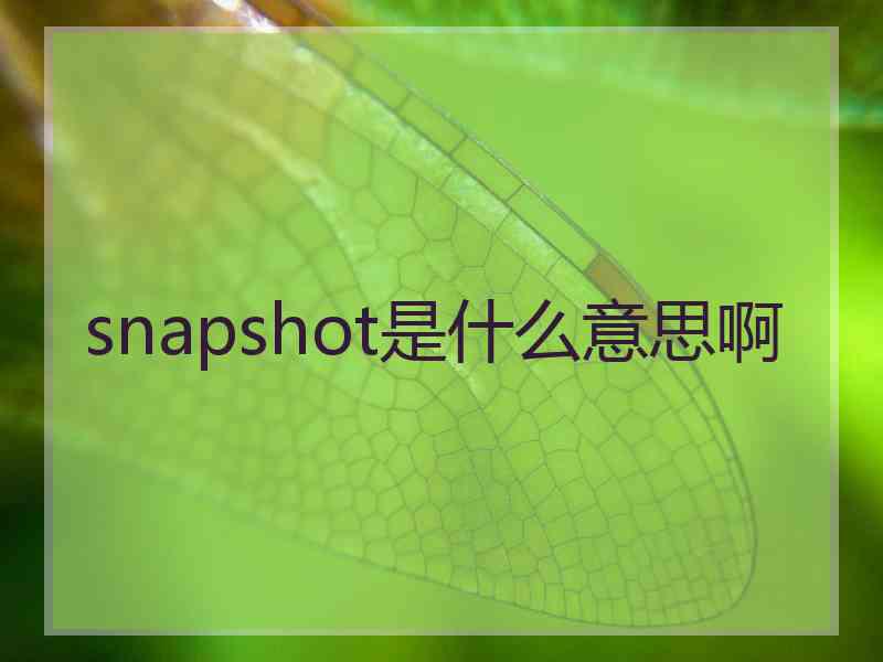 snapshot是什么意思啊