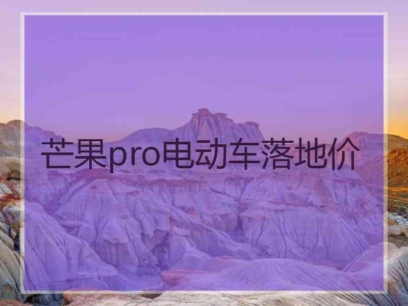 芒果pro电动车落地价