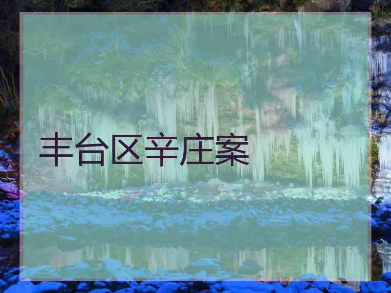 丰台区辛庄案