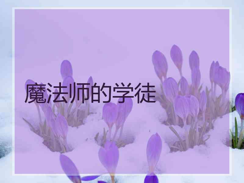 魔法师的学徒