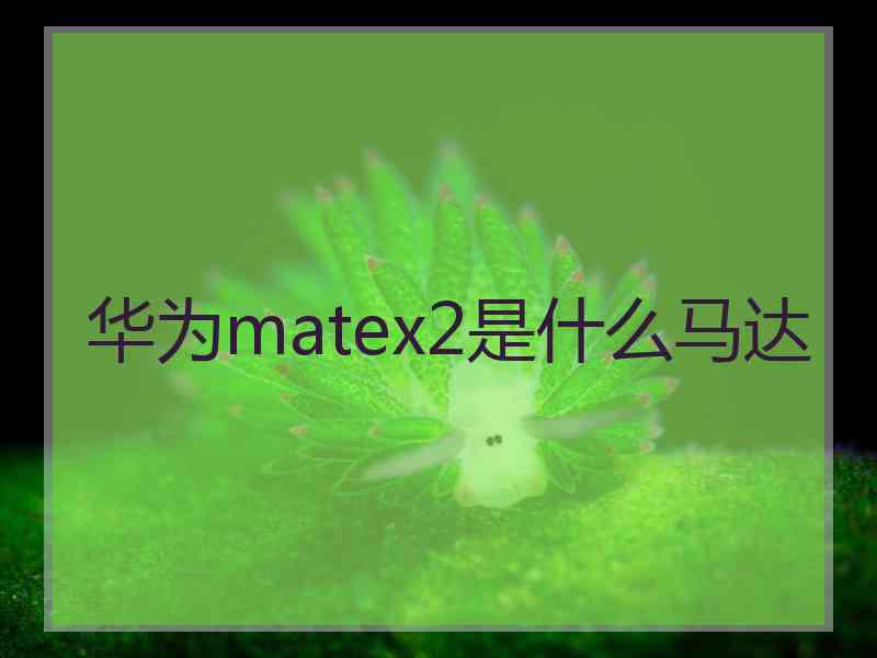 华为matex2是什么马达