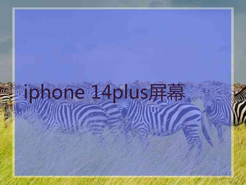 iphone 14plus屏幕