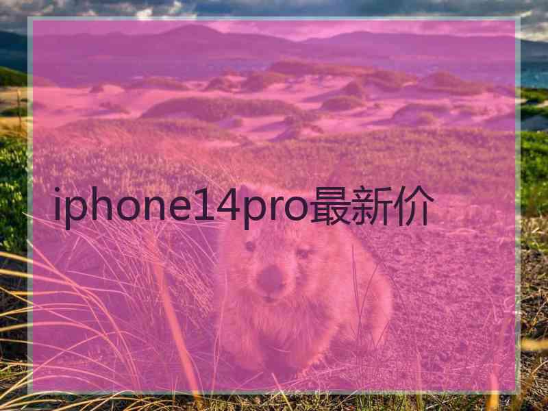 iphone14pro最新价