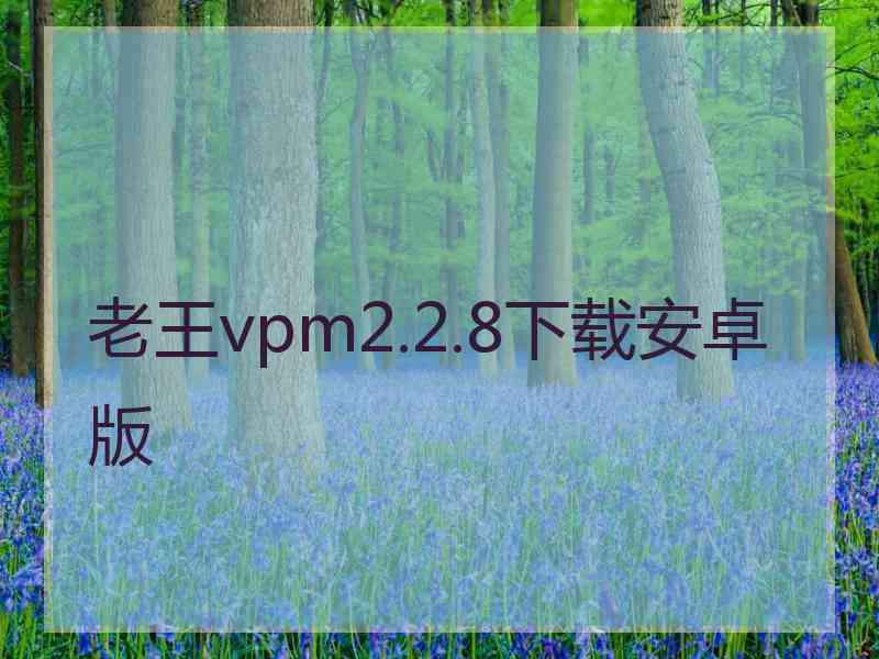 老王vpm2.2.8下载安卓版