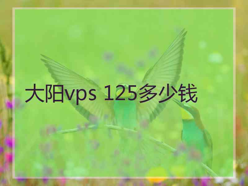 大阳vps 125多少钱