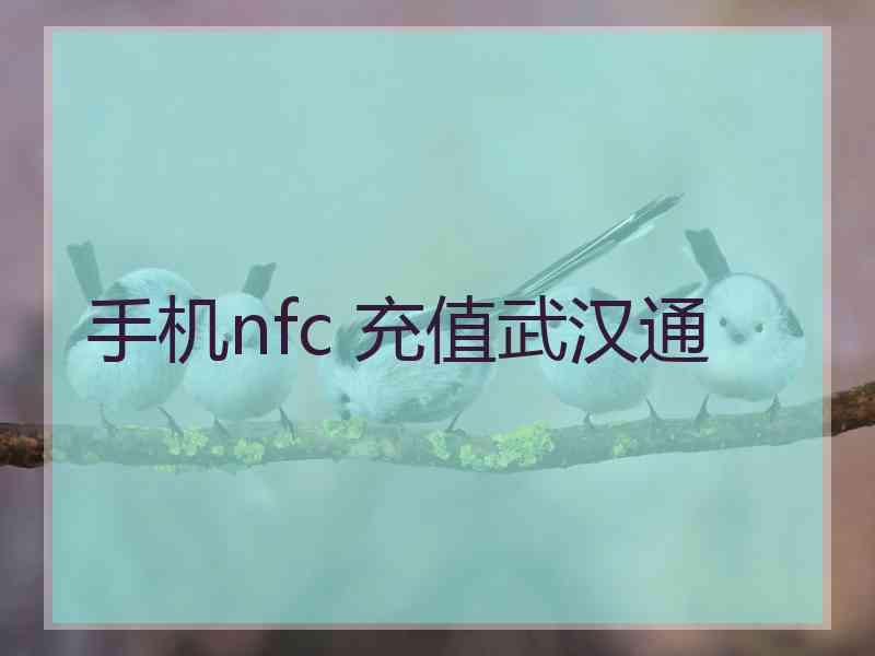 手机nfc 充值武汉通