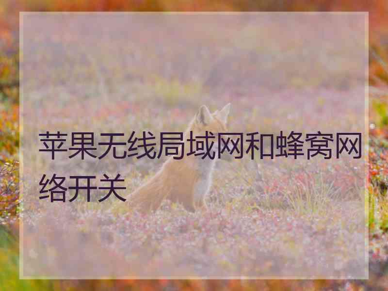 苹果无线局域网和蜂窝网络开关