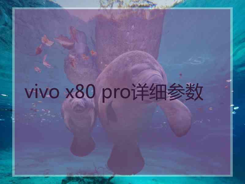 vivo x80 pro详细参数