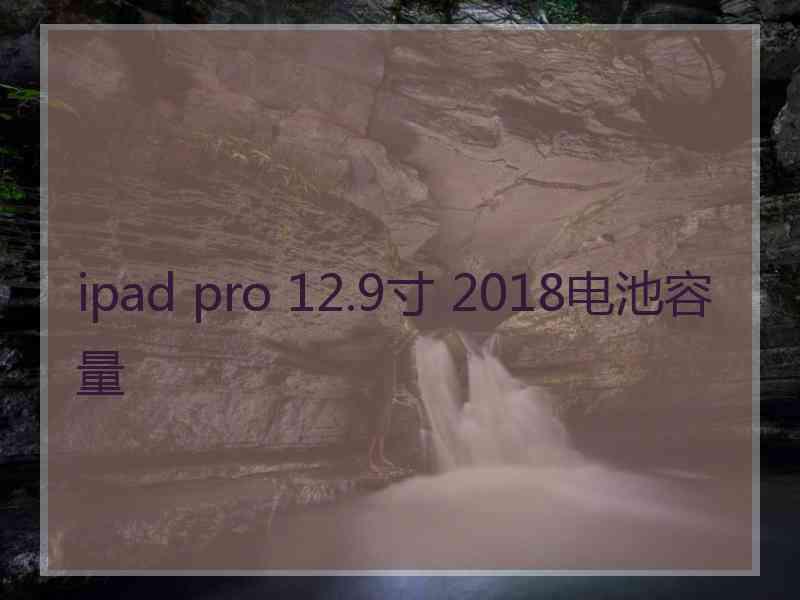 ipad pro 12.9寸 2018电池容量