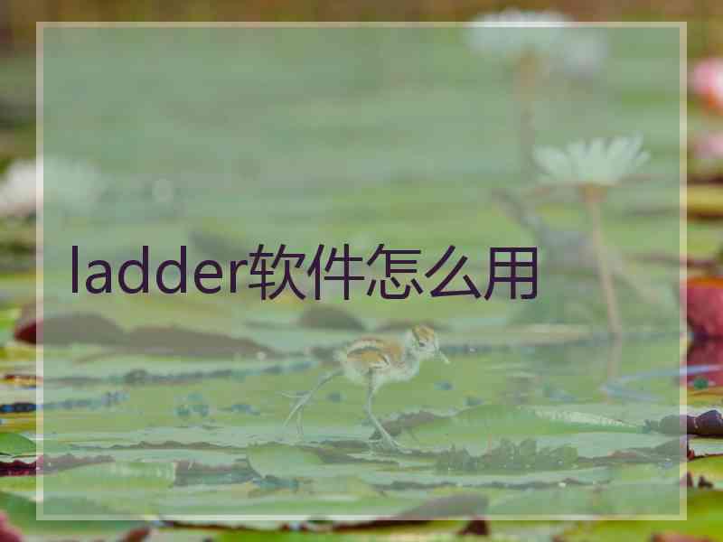 ladder软件怎么用