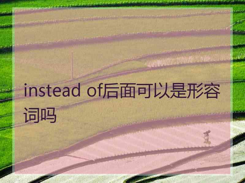 instead of后面可以是形容词吗