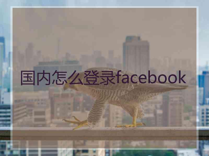 国内怎么登录facebook