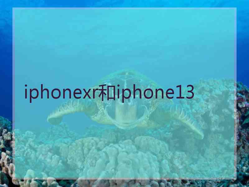 iphonexr和iphone13