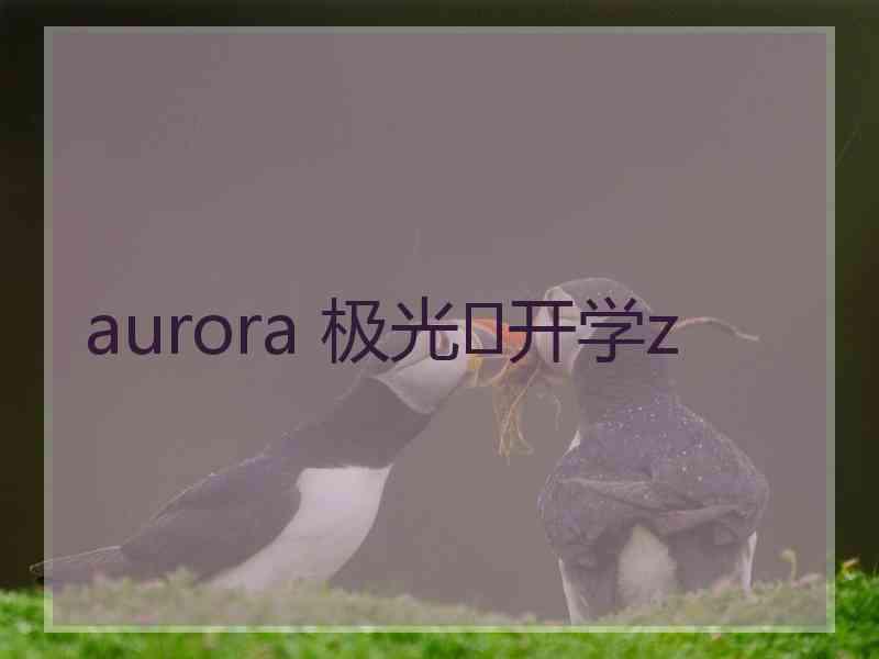 aurora 极光✨开学z